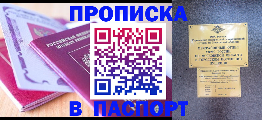 прописка законно в Могочи